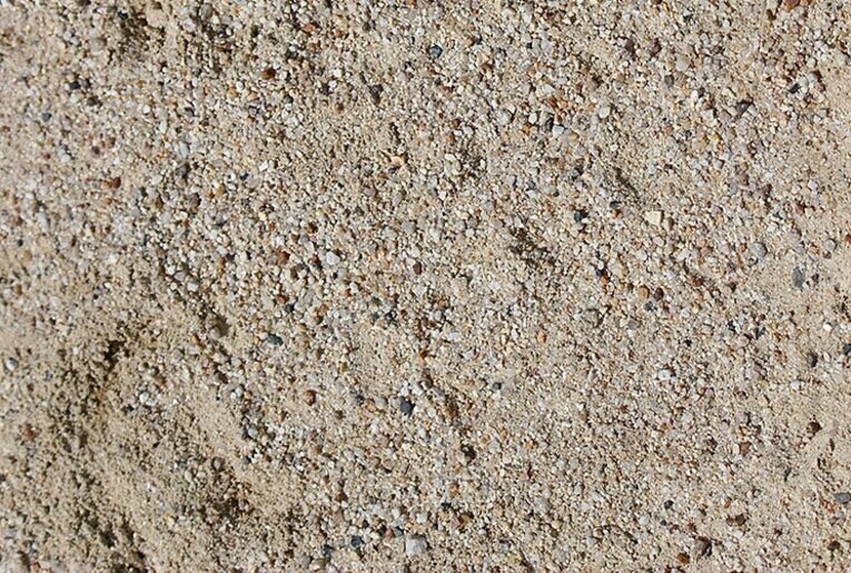 甲子園にも、侍ジャパンにもいない。京都で見た、プロ志望の逸材遊撃手。(3)