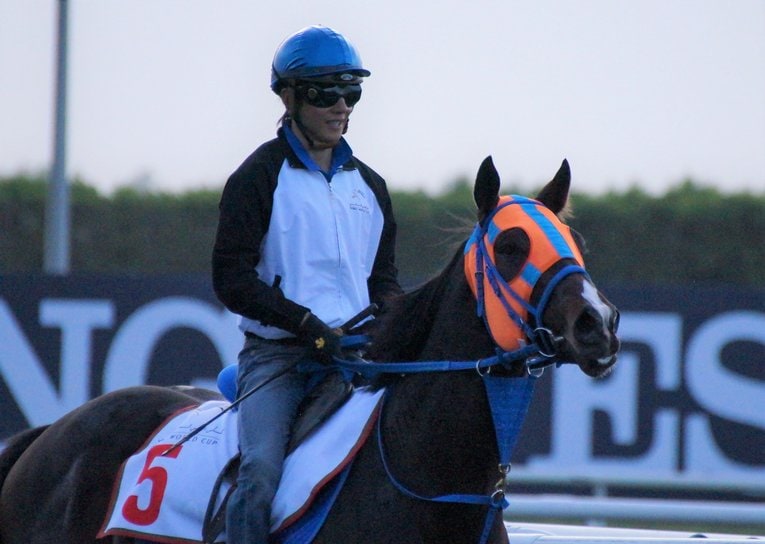 「GI10勝」「ドバイの師から特別装蹄」ホッコータルマエが遺した“ダート王伝説” レパードSで父子制覇なるか？(6)