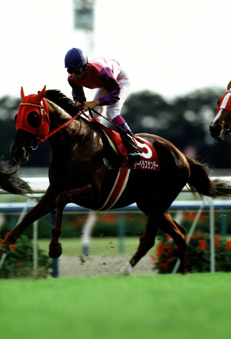 マーベラスサンデー ／ photograph by Tomohiko Hayashi