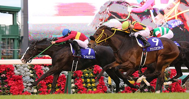 2015年のキーワードは「急成長」か。有馬記念で振り返る競馬界の1年