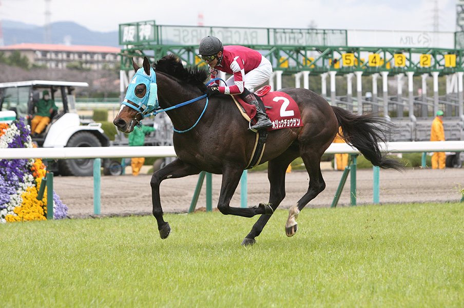 オジュウチョウサンの覚醒にも一役。進化を続ける馬具の今昔物語。<Number Web> photograph by AFLO