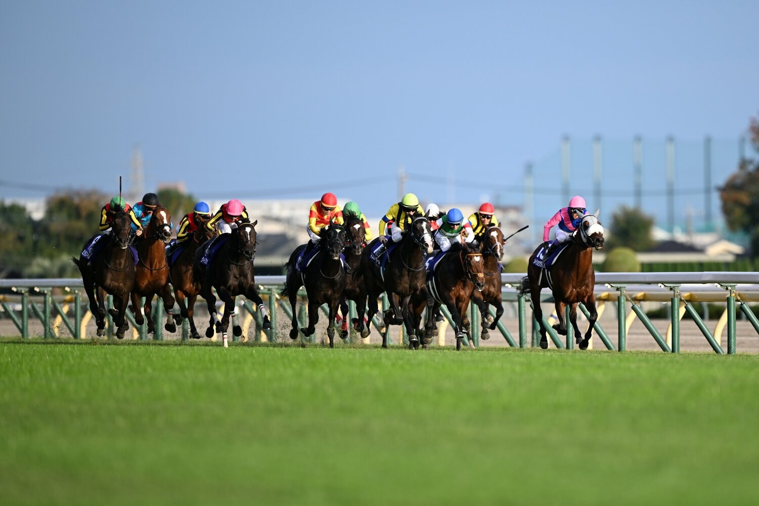 最後の直線。内のメイショウタバルとタスティエーラをかわして先頭に立つマスカレードボール ©Keiji Ishikawa