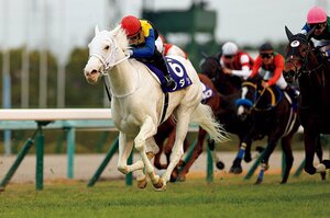【桜花賞】“天性のスター”白毛馬ソダシに「不吉な材料」が？ “良血中の良血” “ものすごい大物感”など濃厚キャラ4頭も揃い大混戦