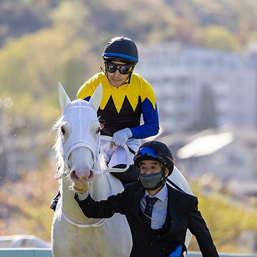 桜花賞優勝のソダシに吉田隼人「もう少し距離が延びても…」 オークスの