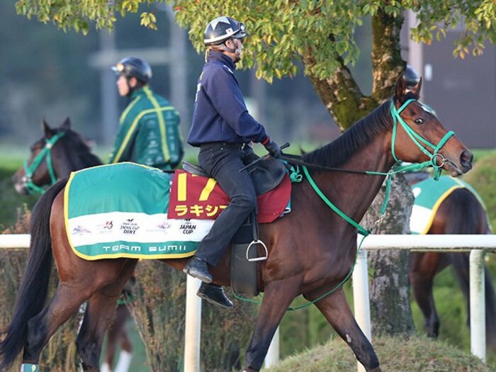 エリザベス女王杯は「二強」の構図。割って入るならばルージュバックか。＜Number Web＞ photograph by Yuji Takahashi