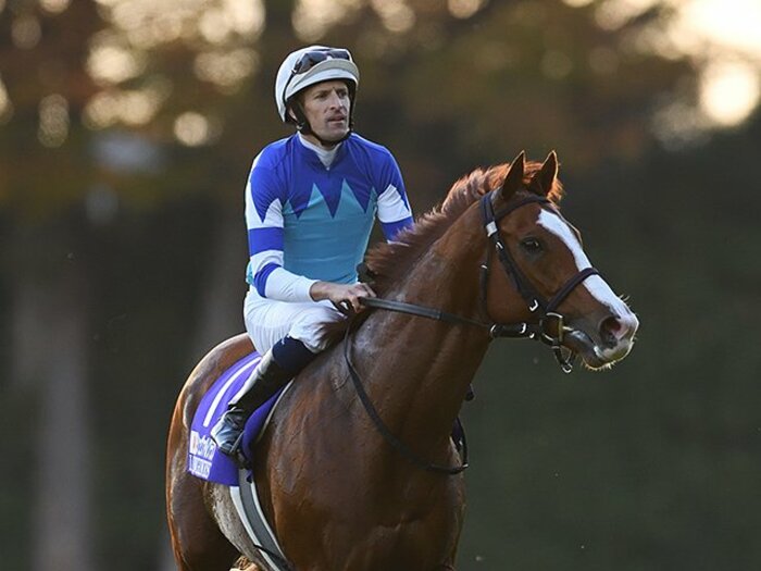 <世界のトップが集結>有馬記念は外国人ジョッキーを狙え!<Number Web> photograph by Keiji Ishikawa