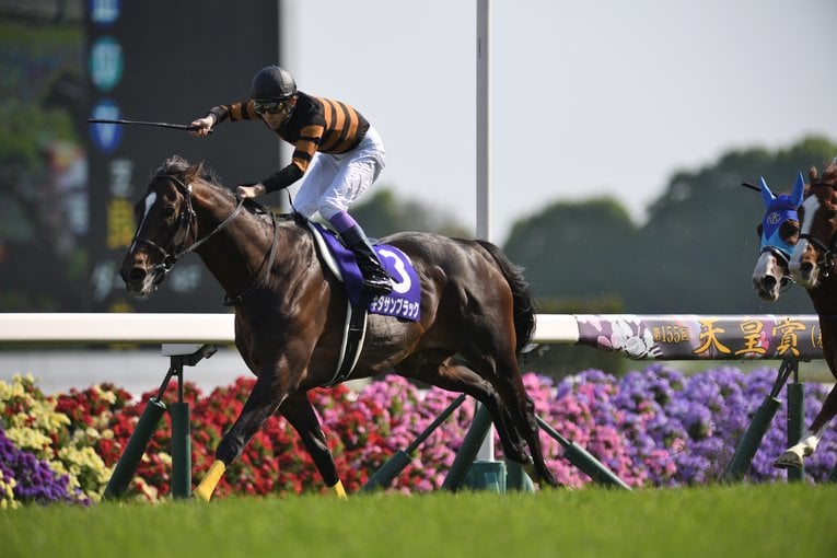 キタサンブラック（庭先取引、350万円で落札）　©BUNGEISHUNJU