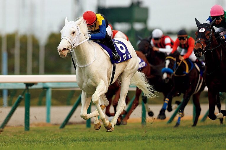 ソダシは中央4勝のブチコの18年初仔。20年、GIII連勝後の阪神JFではサトノレイナスをハナ差抑え史上初白毛馬GI勝利。4戦全勝中 ／ photograph by Photostud