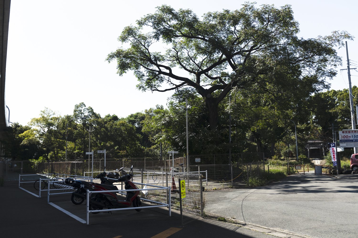 旧淀駅舎の跡地