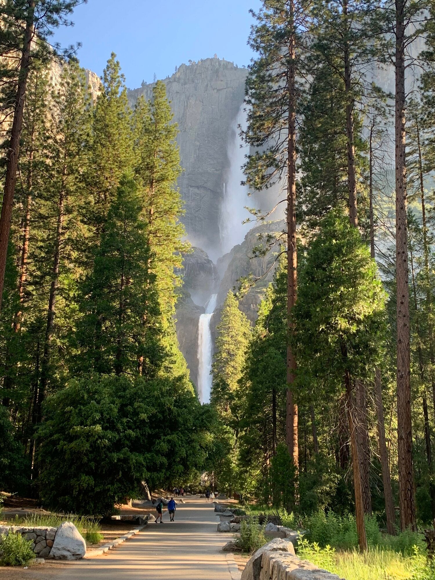 有名なヨセミテ滝。マイナスイオンが飛ぶ（写真=筆者提供）