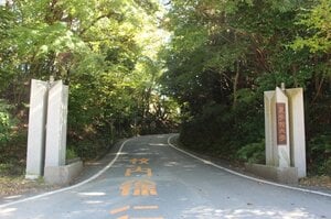 【NEW】ドラフトウラ話《西武6位指名》「なぜ“無名地方大学”の男が指名された？」記者が完全密着…現場は“ドタバタ”「テレビの生中継どうしよう…」
