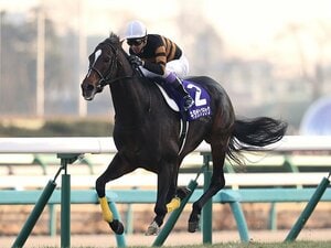 2017年有馬記念でGⅠ競争7勝目、通算獲得賞金JRA歴代1位に