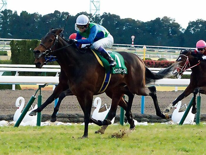 武豊が無敗の愛馬に望む、もう一枚の隠しギア。~トーセンスターダムは化けるか?~<Number Web> photograph by NIKKAN SPORTS