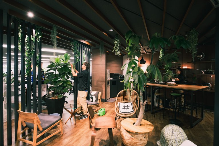 緑化装飾部の携わった空間　©Hanshin Engei