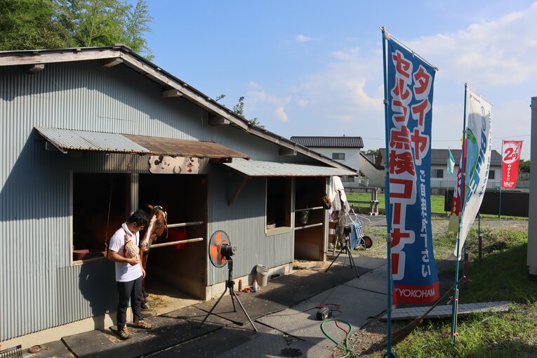 今村忠一さん宅の厩舎