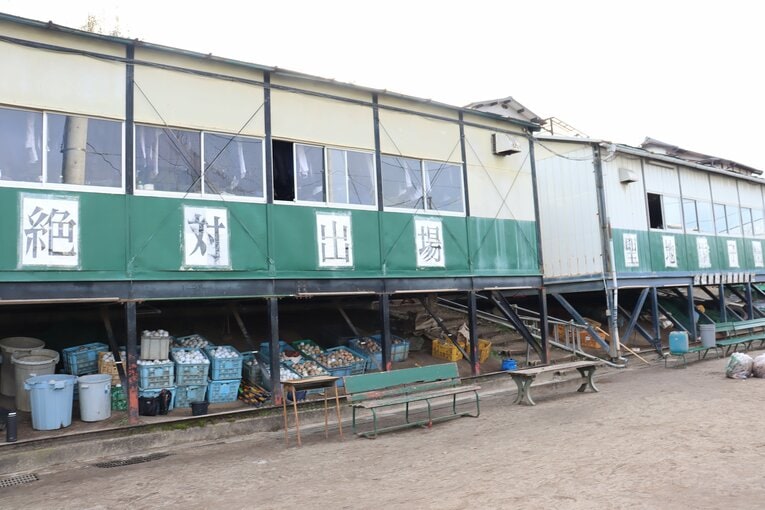 「聖地・甲子園」からは四半世紀以上遠ざかっている　©Genki Taguchi