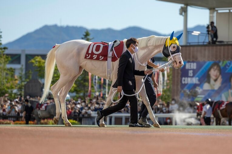 札幌記念のソダシ ／ photograph by photostud