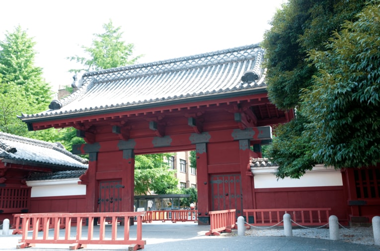 東京大学を卒業し、長年日本サッカーに携わった人物に聞く「オランダ2部クラブ経営参画」の背景とは ／ photograph by Asami Enomoto