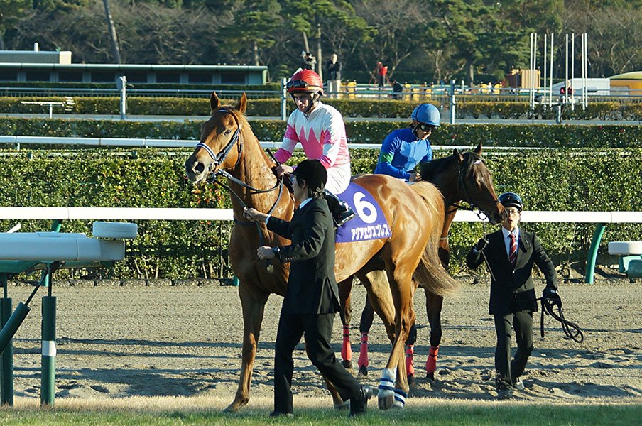 仕方なく出したアジアエクスプレスで2013年朝日杯FSを制した手塚師 今年はドゥラモンドで挑む<Number Web> photograph by Satoshi Hiramatsu