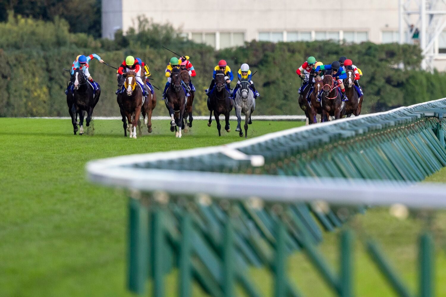 直線でパンサラッサを捉えるイクイノックス（左端）