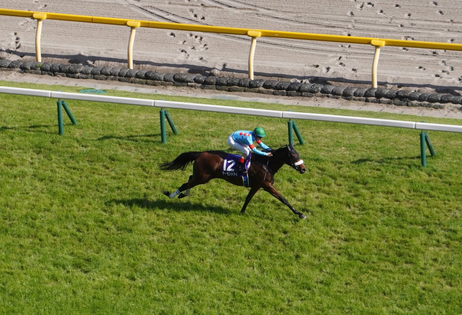 アーモンドアイ　ヴィクトリアマイル