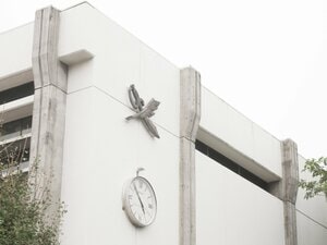 偏差値77、東大合格者数は44年連続日本一…“あの”超進学校がナゼ競泳メドレーリレーでインターハイに出場できた？「奇跡のカルテット」結成秘話