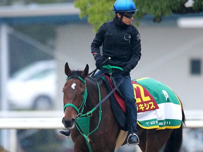 今週も重賞未勝利馬が勝つのか?牝馬黄金時代のエリザベス女王杯。<Number Web> photograph by Yuji Takahashi