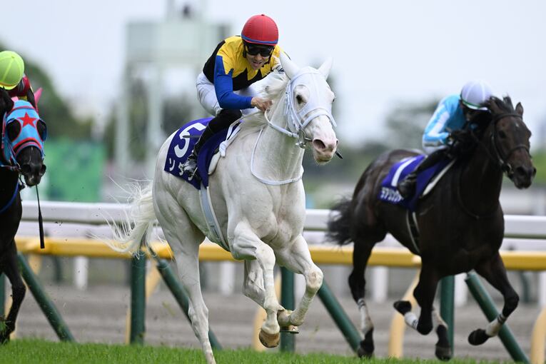 ソダシvsスターズオンアースは競馬史に残るレースとなるか？「ウオッカとダイワスカーレット」以来の“名牝ライバル誕生”を期待してしまう理由(15)