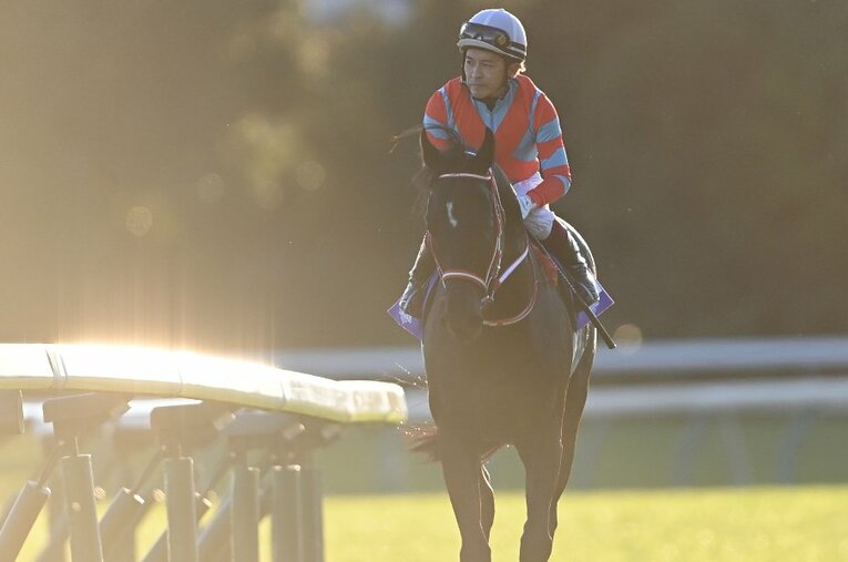 引退レースとなったジャパンカップにて優勝したコントレイルと福永祐一。 ／ photograph by Keiji Ishikawa