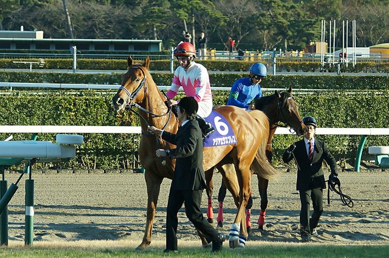 アジアエクスプレスは中山競馬場最後の朝日杯フューチュリティSを制した。現在は種牡馬として活躍中 ／ photograph by Satoshi Hiramatsu