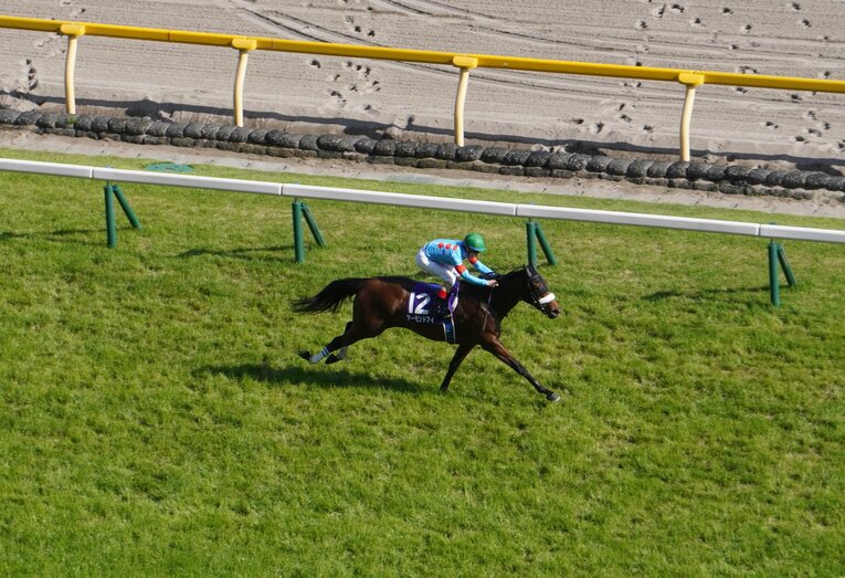 アーモンドアイ　ヴィクトリアマイル