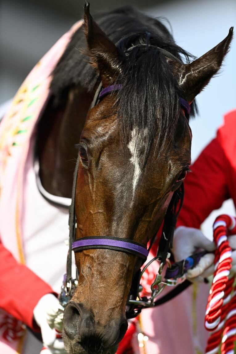 オークス直前に顔面を蹴られて放馬…発走“15分の大遅延”はなぜ起きたのか？「多くの馬の戦いは、スタート前に終わってしまった」(10)