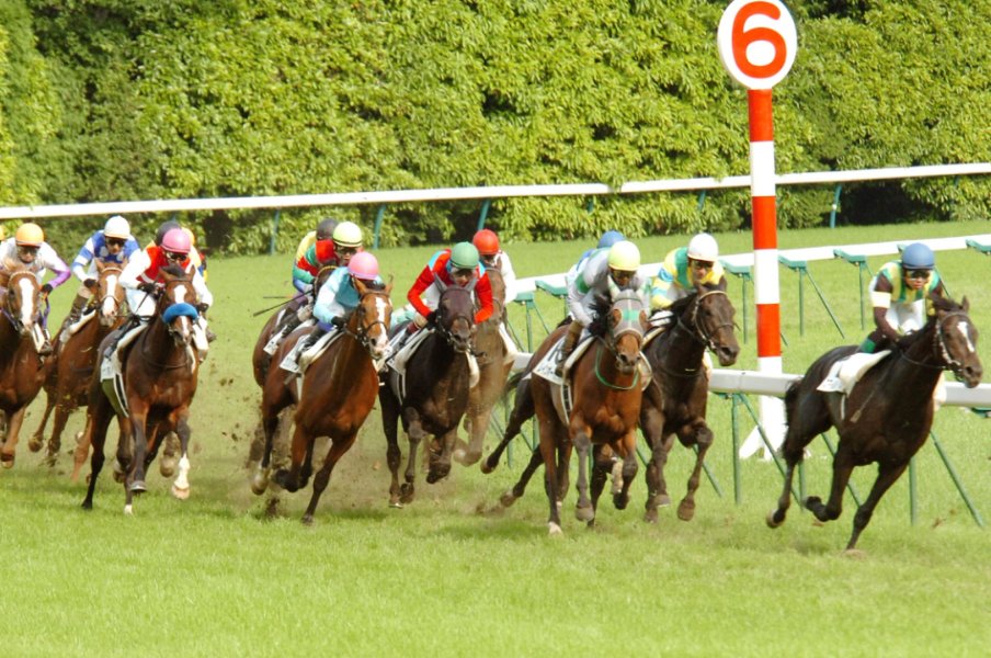 “最強のダービー2着馬”は? 成績は58戦5勝、それでも愛されたあの馬も「最強に“幸せな”2着馬かもね」《今年はイクイノックス》<Number Web> photograph by Sankei Shinbun