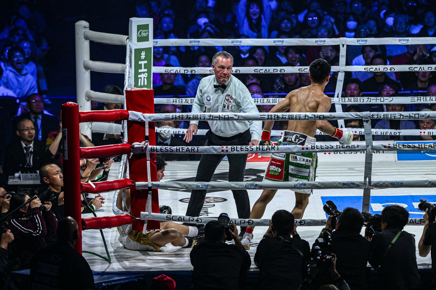 キャンバスに尻もちをつき、立ち上がることができないクエジャル　©Takuya Sugiyama