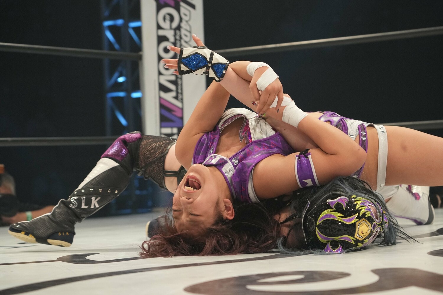 飛び技だけでなく関節技も両者の持ち味　©Essei Hara