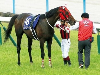 世が世ならダービーも……。無冠馬との数奇な出会い。~ウインバリアシオン引退に寄せて~<Number Web> photograph by NIKKAN SPORTS