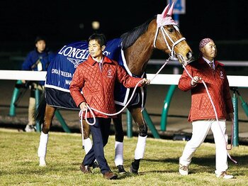 「無事是名馬」を全うした“ジェン子”と厩務員の絆。~GI7勝の名牝を支えた名人芸~<Number Web> photograph by NIKKAN SPORTS