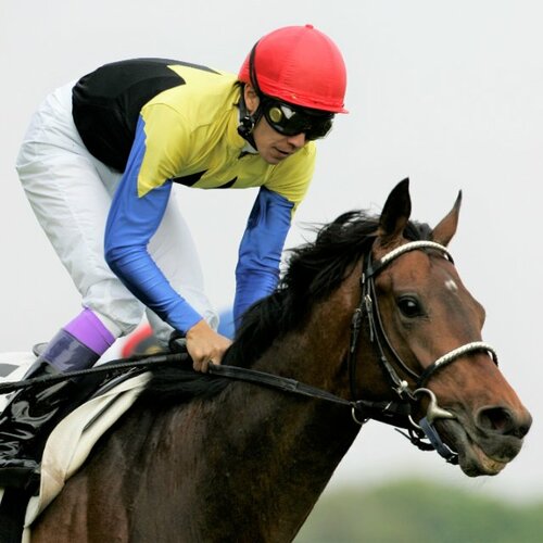 ディープインパクト　皐月賞 武豊 A1ポスター 競馬 ディープインパクト ゼッケン 皐月賞｜Yahoo!フリマ（旧