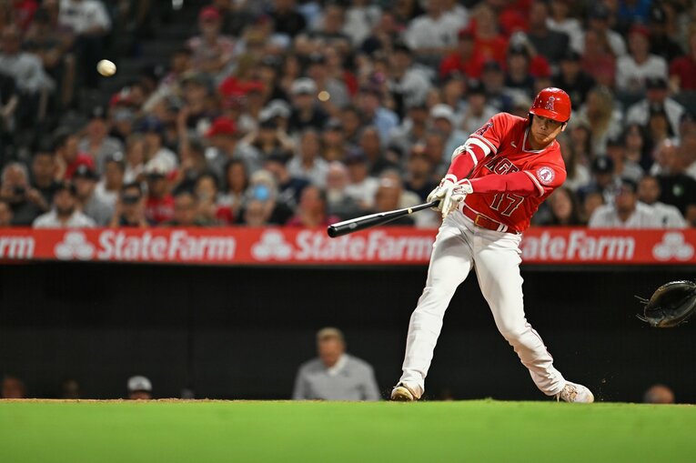 大谷29号の連続写真（2／9） ©Nanae Suzuki