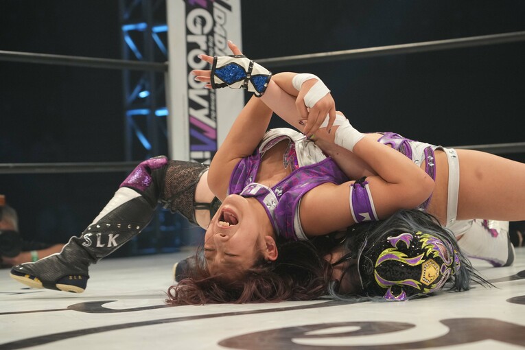 飛び技だけでなく関節技も両者の持ち味　©Essei Hara