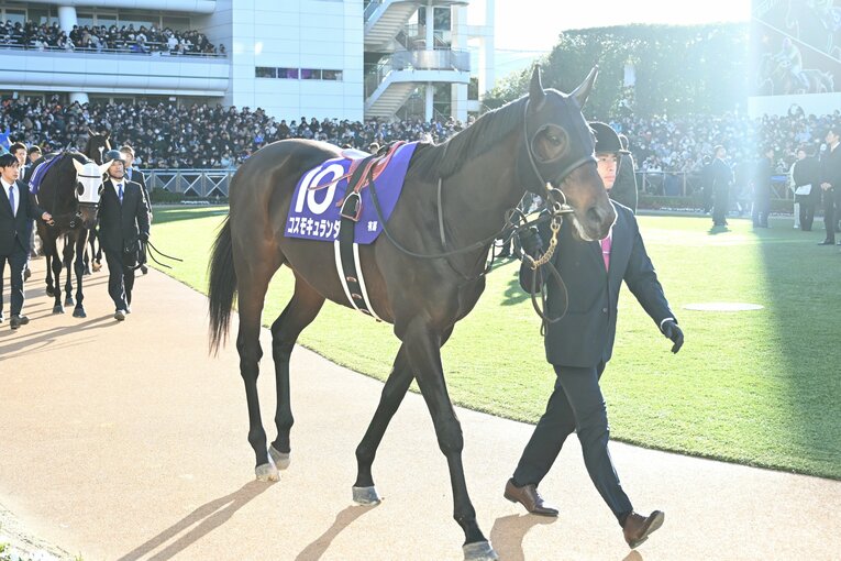2着に激走したコスモキュランダのパドック　©Keiji Ishikawa