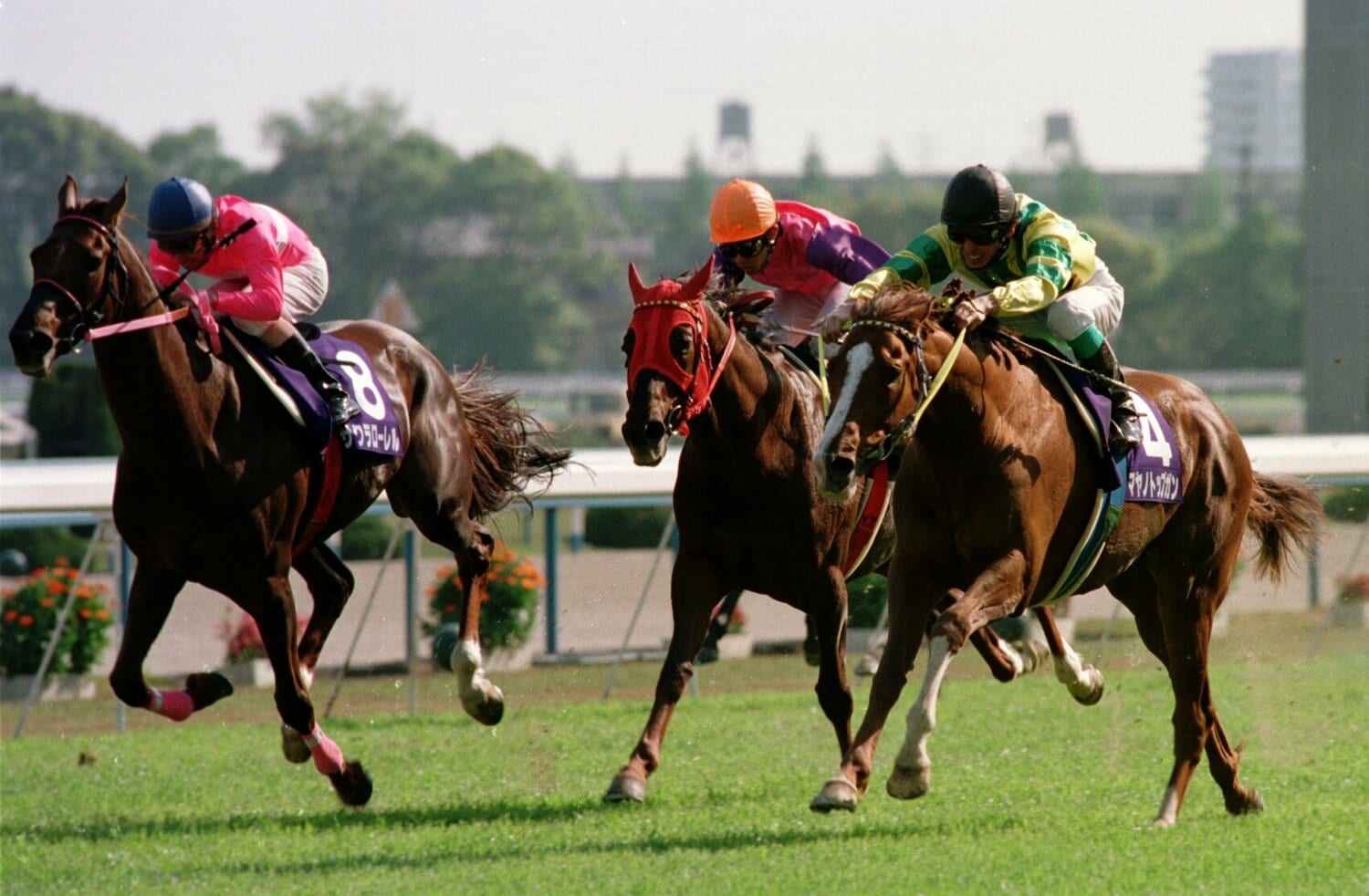 激しく叩き合うサクラローレルとマーベラスサンデーを大外からまとめて差し切ったマヤノトップガン ©Sankei Shimbun