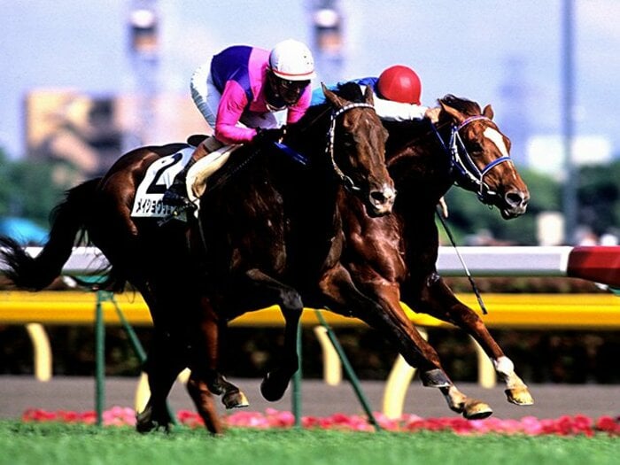 「生涯獲得賞金は10億超え」たった700万だったメイショウサムソンが3億超のエリート馬を破るまで＜Number Web＞ photograph by フォトチェスナット