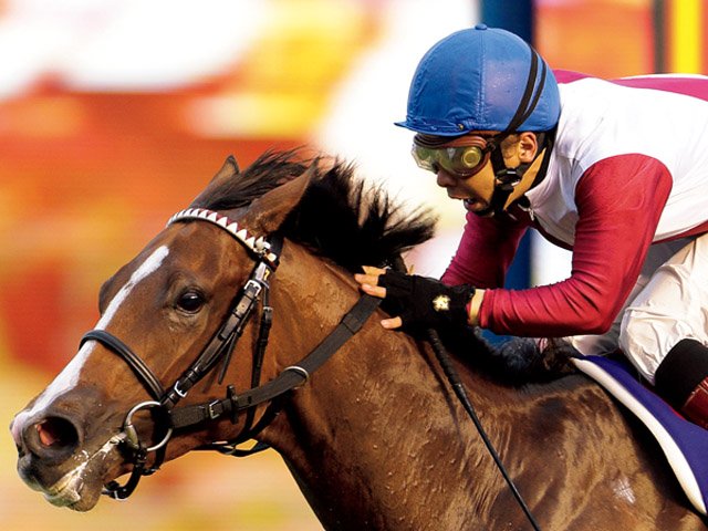 【期限切れ単勝馬券】　スプリンターズS アストンマーチャン ウマ娘 他全頭 期限切れ単勝馬券】スプリンターズS 2007 アストンマーチャン