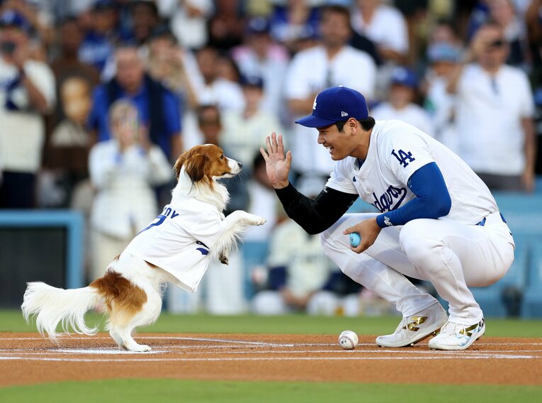 8月28日に行われた愛犬デコピンによる始球式（1枚目／全2枚）©Getty Images