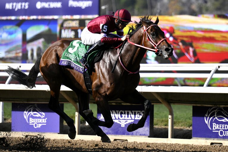 2025年の年度代表馬フォーエバーヤング。坂井瑠星騎手とともに『Number MVP賞』にも輝いた　©Getty Images