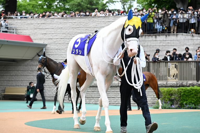 ソダシvsスターズオンアースは競馬史に残るレースとなるか？「ウオッカとダイワスカーレット」以来の“名牝ライバル誕生”を期待してしまう理由(30)
