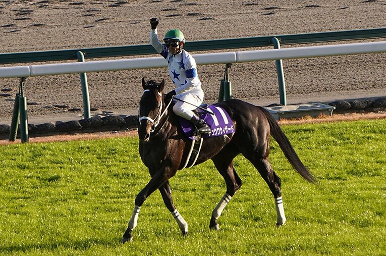 4度目の対決でついに王者クリソベリルに先着したチュウワウィザード ／ photograph by Satoshi Hiramatsu