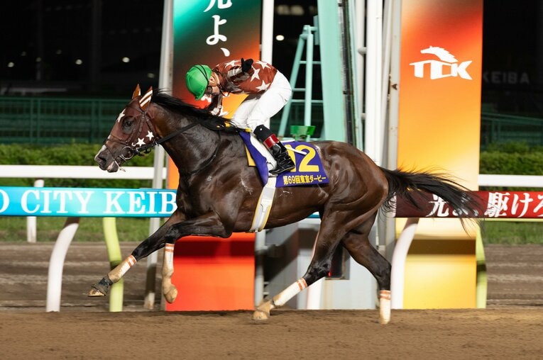 二冠目の東京ダービーも6馬身差の圧勝だった　写真提供：TCK（東京シティ競馬）