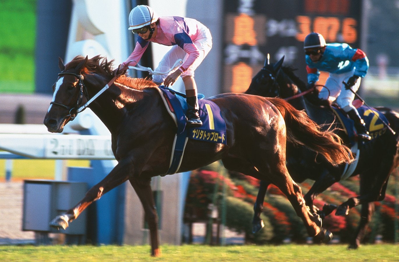 img_5c644df2dc06e9961ddc944c65